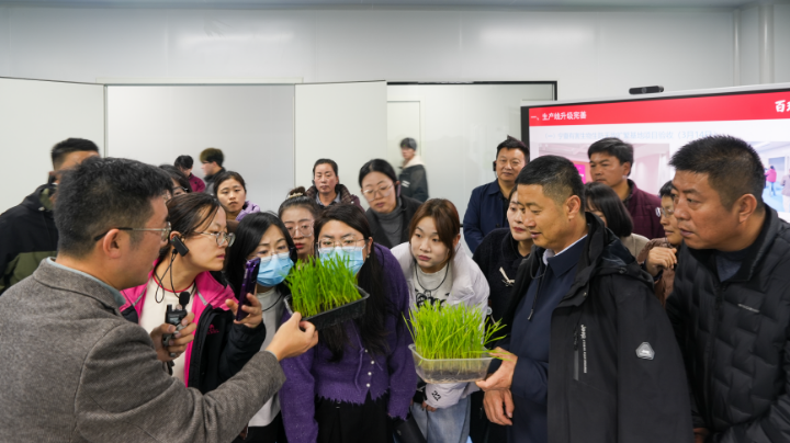 1763101450901067.png image.png