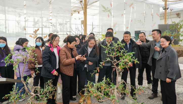 1763101539550239.png image.png